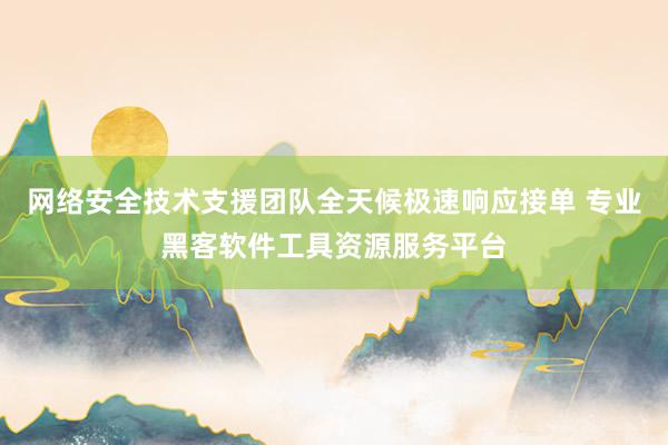 网络安全技术支援团队全天候极速响应接单 专业黑客软件工具资源服务平台