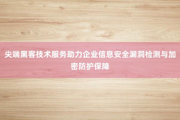 尖端黑客技术服务助力企业信息安全漏洞检测与加密防护保障