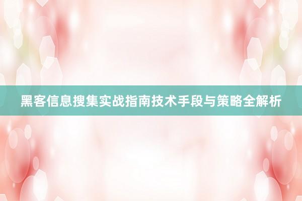 黑客信息搜集实战指南技术手段与策略全解析