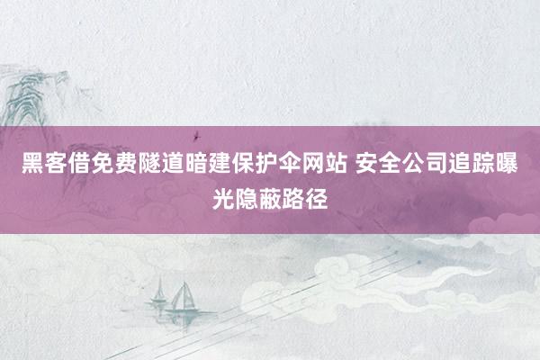 黑客借免费隧道暗建保护伞网站 安全公司追踪曝光隐蔽路径